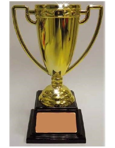Coppa trofeo dorata due manici Cm. 24...
