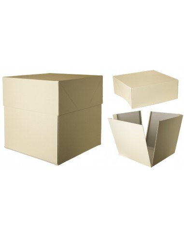 Scatola mini box surprise Cm....