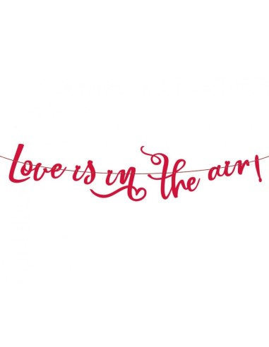 Festone scritta «Love is in the air»...