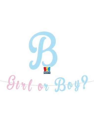 Festone scritta italic Baby Gril or...