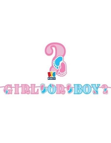 Festone kit scritta maxi Baby Girl or...