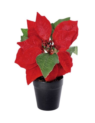 Piantina stella di natale finta con...
