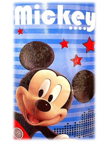 Plaid Soft Topolino Cm. 100x150