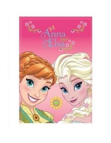 Pail Soft Frozen Cm. 100x140 Elsa E Anna