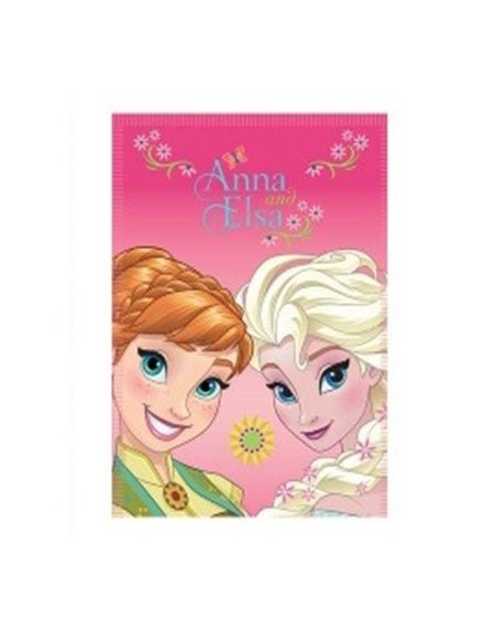 Pail Soft Frozen Cm. 100x140 Elsa E Anna