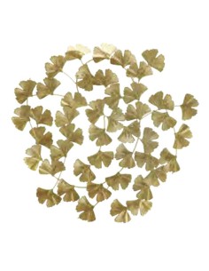 Decorazione da parete in metallo Cm. 48x48 dorata
