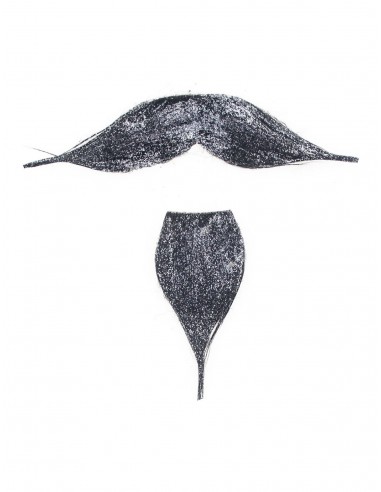 Baffi e barba Silver