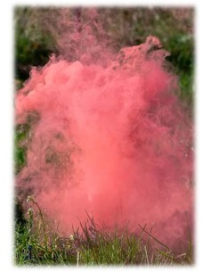 Fumogeno "Color Smoke Bomb" Cm. 22,5 - Boy or Girl? - Girl 2