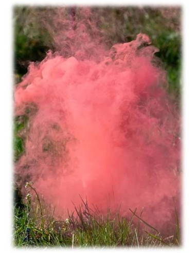 Fumogeno "Color Smoke Bomb" Cm. 22,5 - Boy or Girl? - Girl