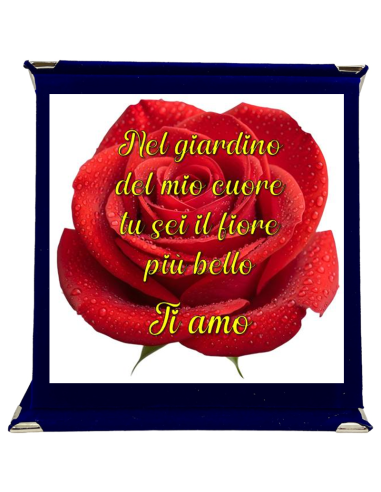 Targa a libretto vellutata Cm. 17x17 - Nel giardino del mio cuore tu sei il fiore più bello