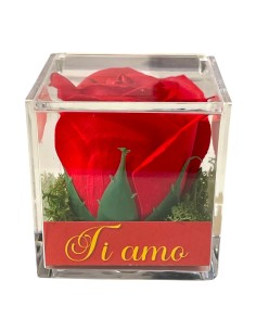 Rosa di sapone rossa Cm. 6 in scatolina plexiglass con apertura Cm. 6x6x6 - Love - Scritte assortite