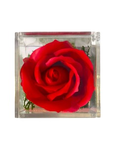 Rosa di sapone rossa Cm. 6 in scatolina plexiglass con apertura Cm. 6x6x6 - Love - Scritte assortite 2