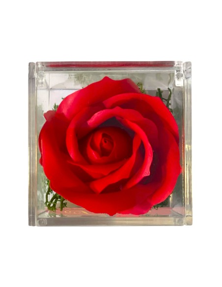 Rosa di sapone rossa Cm. 6 in scatolina plexiglass con apertura Cm. 6x6x6 - Love - Scritte assortite