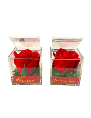 Rosa di sapone rossa Cm. 6 in scatolina plexiglass con apertura Cm. 6x6x6 - Love - Scritte assortite