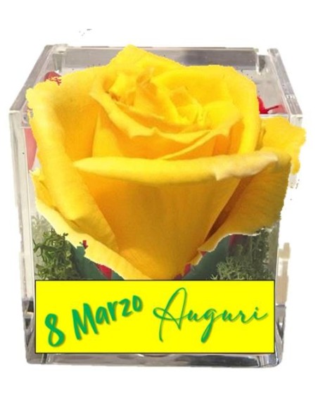Rosa di sapone gialla Cm. 6 in scatolina plexiglass con apertura Cm. 6x6x6 - 8 Marzo Festa della donna