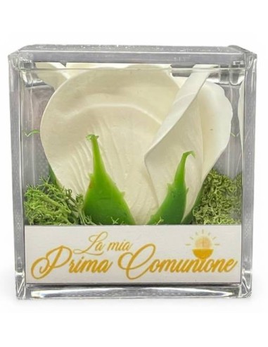 Rosa di sapone bianca in scatola plex Cm. 6x6x6 - La mia Prima Comunione