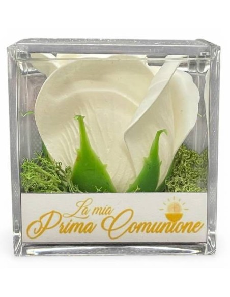 Rosa di sapone bianca in scatola plex Cm. 6x6x6 - La mia Prima Comunione