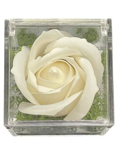 Rosa di sapone bianca in scatola plex Cm. 6x6x6 - La mia Prima Comunione