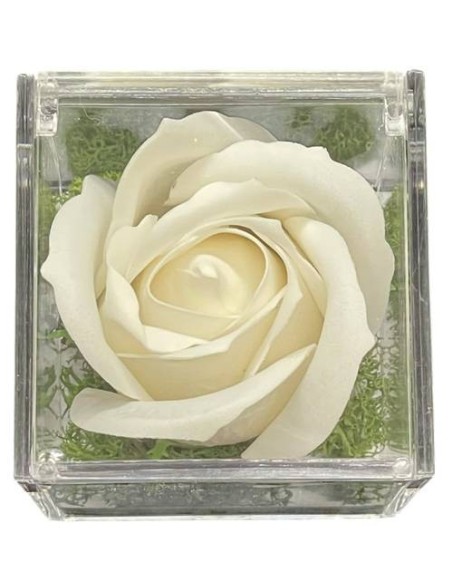 Rosa di sapone bianca in scatola plex Cm. 6x6x6 - La mia Prima Comunione