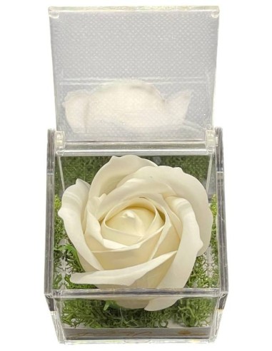 Rosa di sapone bianca in scatola plex Cm. 6x6x6 - La mia Prima Comunione