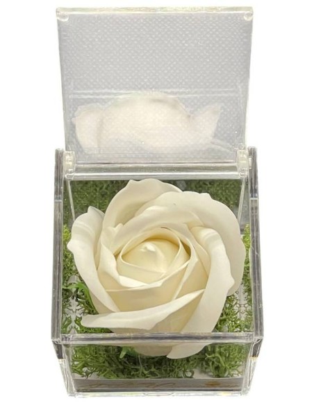 Rosa di sapone bianca in scatola plex Cm. 6x6x6 - La mia Prima Comunione