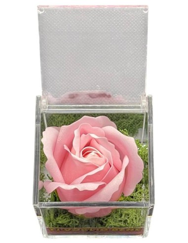 Rosa di sapone in scatola plex Cm. 6x6x6 - Rosa - Ti voglio bene Mamma