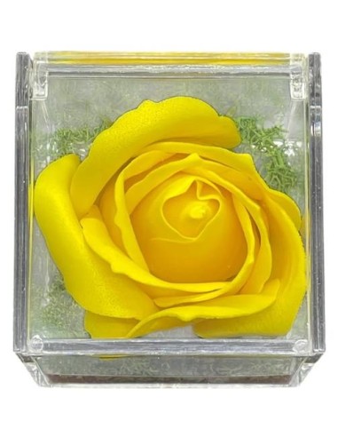 Rosa di sapone in scatola plex Cm. 6x6x6 - Gialla - Ti voglio bene Mamma