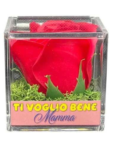 Rosa di sapone in scatola plex Cm. 6x6x6 - Rossa - Ti voglio bene Mamma