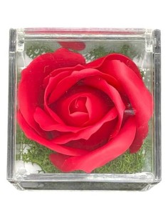 Rosa di sapone in scatola plex Cm. 6x6x6 - Rossa - Ti voglio bene Mamma 2