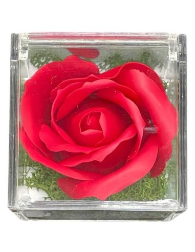 Rosa di sapone in scatola plex Cm. 6x6x6 - Rossa - Ti voglio bene Mamma