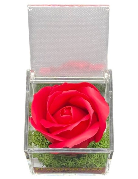 Rosa di sapone in scatola plex Cm. 6x6x6 - Rossa - Ti voglio bene Mamma