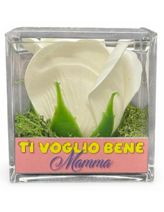 Rosa di sapone in scatola plex Cm. 6x6x6 - Bianca - Ti voglio bene Mamma