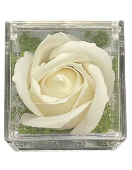 Rosa di sapone in scatola plex Cm. 6x6x6 - Bianca - Ti voglio bene Mamma