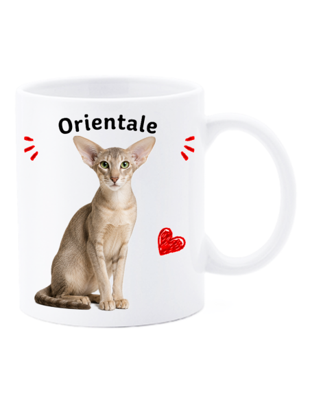 Tazza mug ceramica in scatola "Cat&Dog" - Orientale
