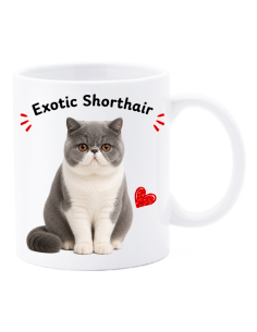 Tazza mug ceramica in scatola "Cat&Dog" - Exotic Shorthair