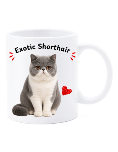 Tazza mug ceramica in scatola "Cat&Dog" - Exotic Shorthair