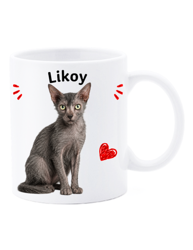 Tazza mug ceramica in scatola "Cat&Dog" - Likoy