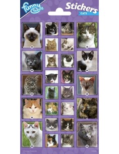 Stickers in foglio Cm. 20x10 - Gatti