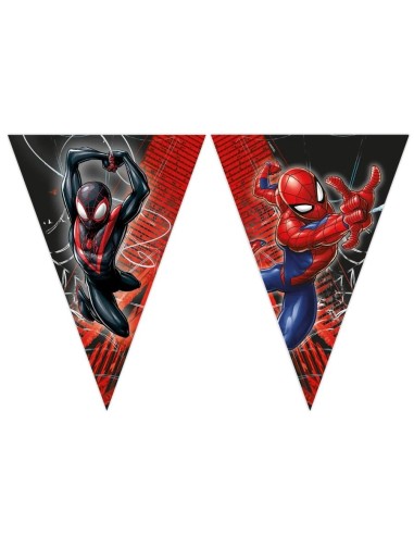 Festone bandierine in cartoncino Cm. 230 - Spiderman Web