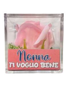 Rosa di sapone in scatolina plex Cm. 6x6x6 - Nonna - Rosa