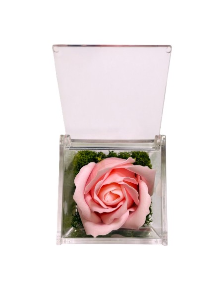 Rosa di sapone in scatolina plex Cm. 6x6x6 - Nonna - Rosa