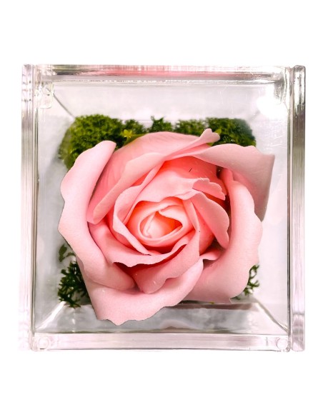 Rosa di sapone in scatolina plex Cm. 6x6x6 - Nonna - Rosa