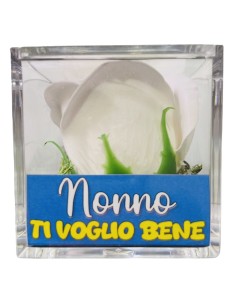 Rosa di sapone in scatolina plex Cm. 6x6x6 - Nonno - Bianca