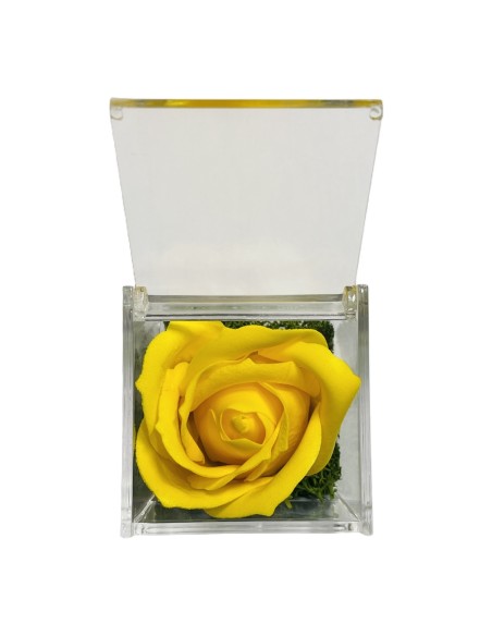 Rosa di sapone in scatolina plex Cm. 6x6x6 - Nonno - Gialla