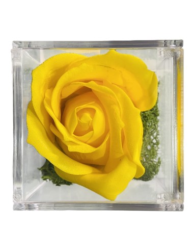 Rosa di sapone in scatolina plex Cm. 6x6x6 - Nonno - Gialla