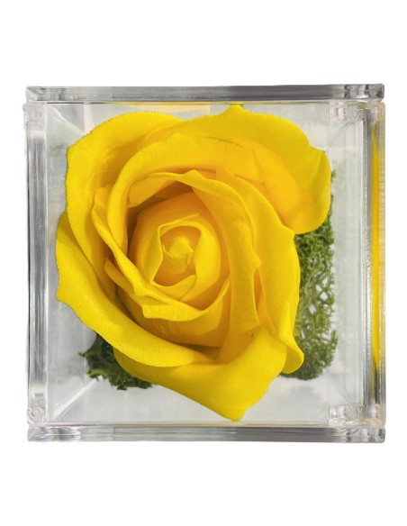 Rosa di sapone in scatolina plex Cm. 6x6x6 - Nonno - Gialla