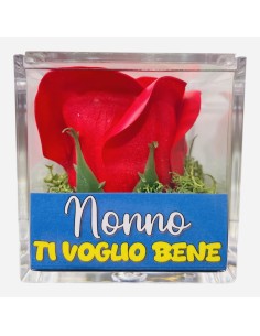 Rosa di sapone in scatolina plex Cm. 6x6x6 - Nonno - Rossa