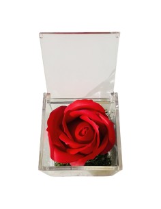 Rosa di sapone in scatolina plex Cm. 6x6x6 - Nonno - Rossa 2