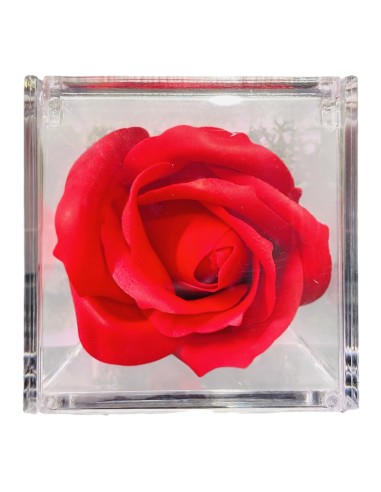 Rosa di sapone in scatolina plex Cm. 6x6x6 - Nonno - Rossa