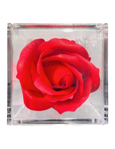Rosa di sapone in scatolina plex Cm. 6x6x6 - Nonna - Rossa